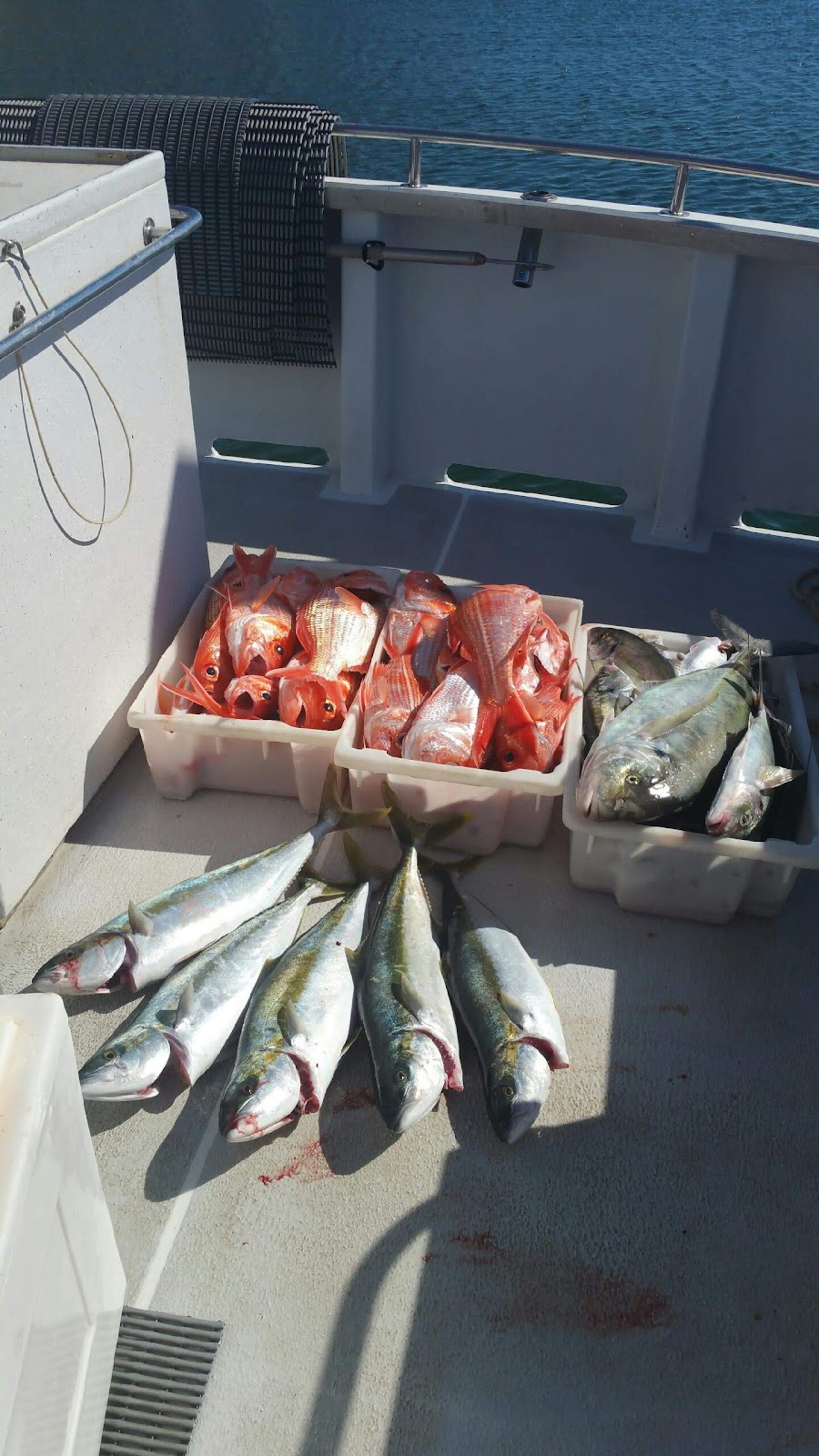 Southern Fishing Charters | 29 Fleurieu Ave, Cape Jervis SA 5204, Australia | Phone: (08) 8598 0146