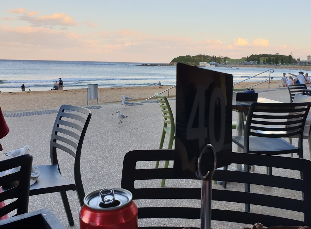 Terrigal Surf Café | cafe | 1 Terrigal Esplanade, Terrigal NSW 2260, Australia | 0243846283 OR +61 2 4384 6283