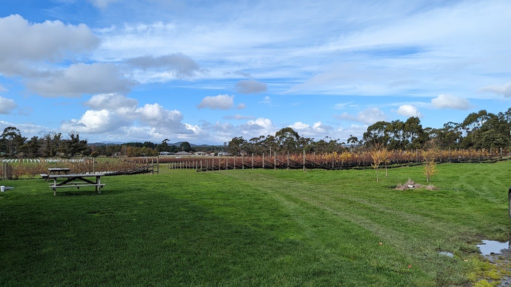 Cabbage Tree Hill Wines | food | 104 Greens Beach Rd, Beaconsfield TAS 7270, Australia | 0407705095 OR +61 407 705 095