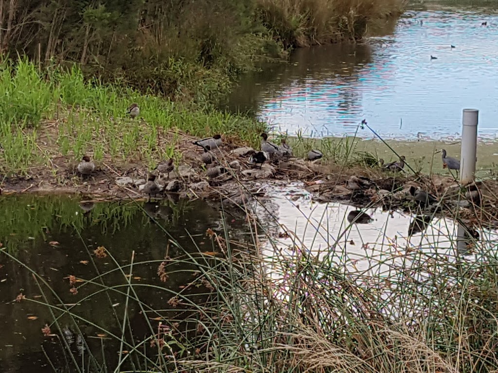 Beaconsfield wetlands | park | 2 Lakeview Terrace, Beaconsfield VIC 3807, Australia