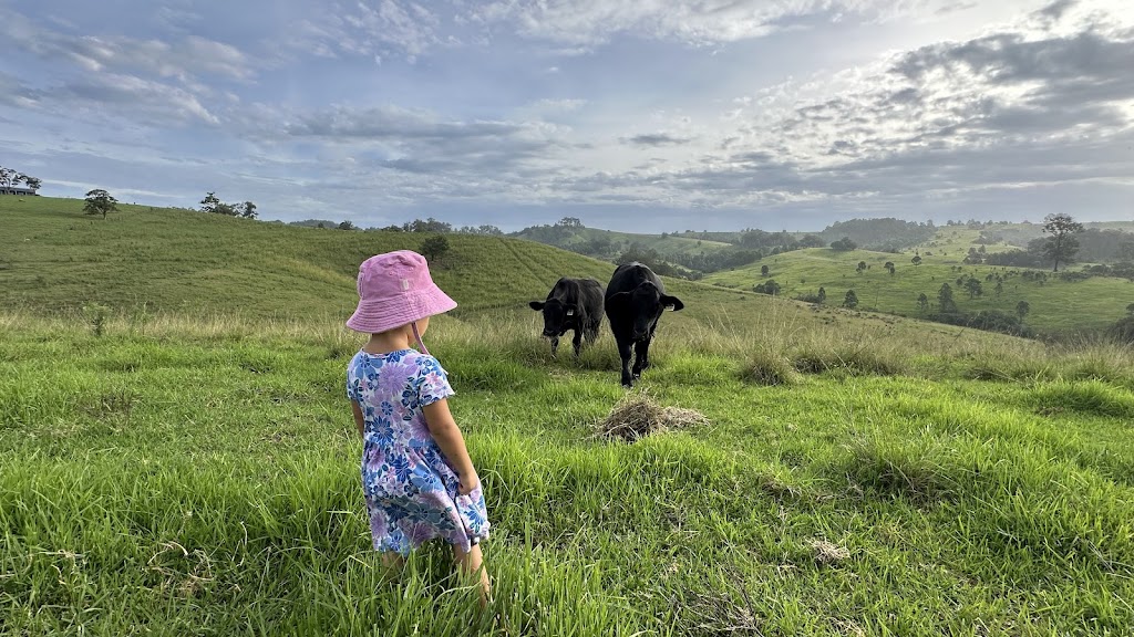 Gundalong Pastoral Group | Lot 18/1428 Ebsworth Rd, Booral NSW 2425, Australia | Phone: 0402 126 222 Gundalong Pastoral Group | Lot 18/1428 Ebsworth Rd, Booral NSW 2425, Australia | Phone: 0402 126 222