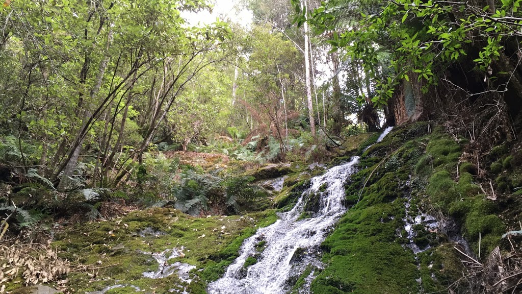 Evercreech Falls | park | Evercreech Falls Walk, Mathinna TAS 7214, Australia
