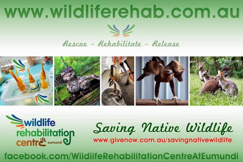 Wildlife Rehabilitation Centre at Eumundi | health | 1411 Eumundi Noosa Rd, Eumundi QLD 4562, Australia | 0754428057 OR +61 7 5442 8057