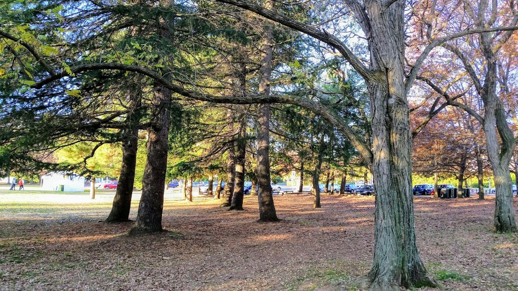 Canberra Peace Park | Parkes ACT 2600, Australia