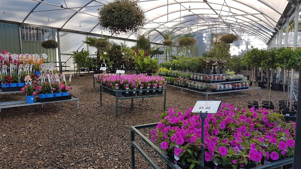 Plant Multi Nursery | 423 Liverpool Rd, Kilsyth South VIC 3137, Australia | Phone: (03) 9762 6909