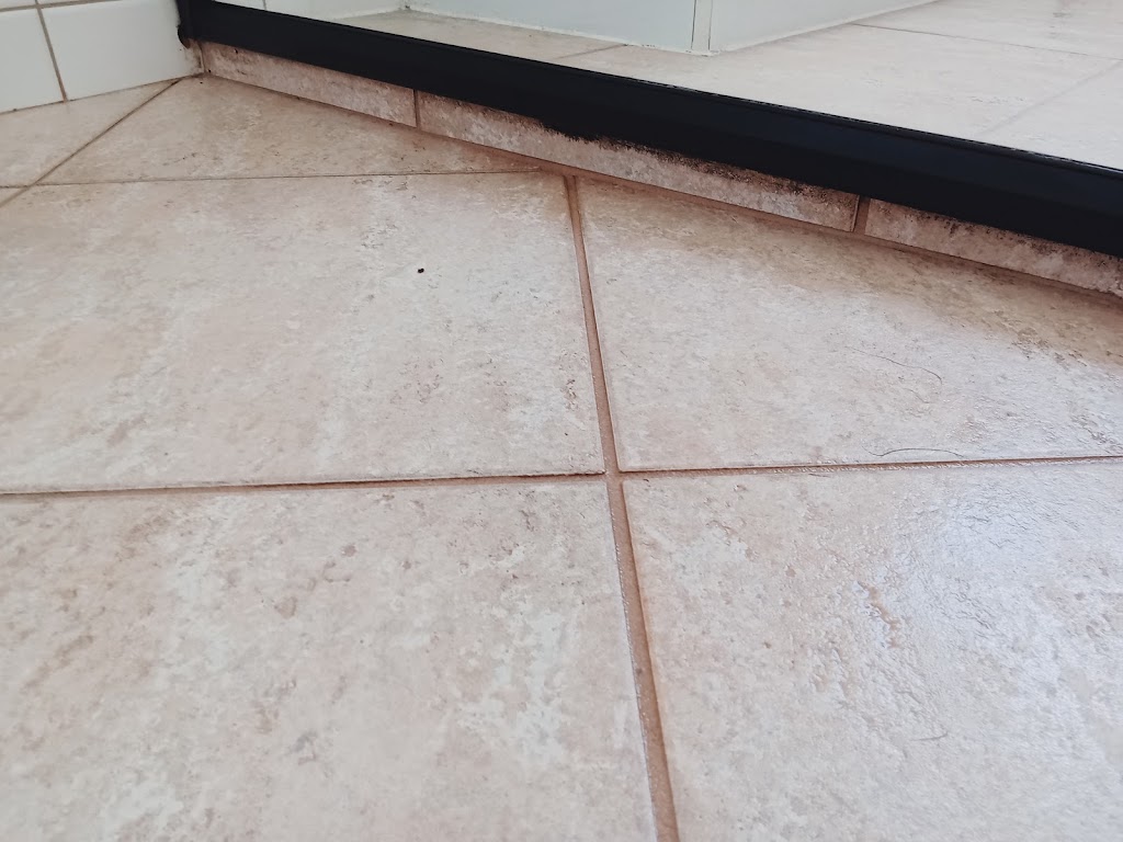 Pelikan Cleaning Services | 13 Royal Rd, Bonbeach VIC 3196, Australia | Phone: 0490 725 579