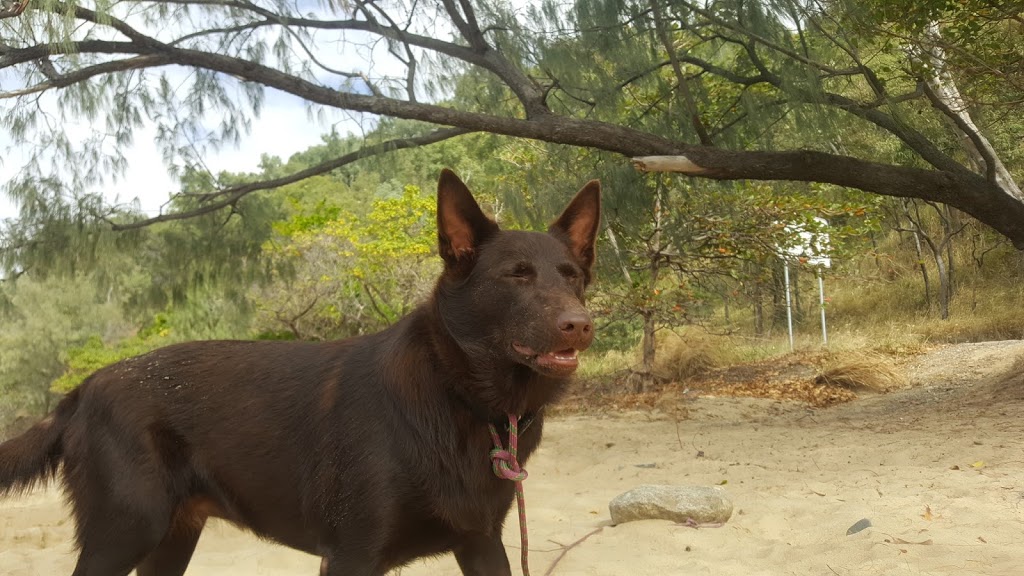 Borderline Beach | park | LOT 7 Captain Cook Hwy Wangetti QLD 4877, Wangetti QLD 4877, Australia