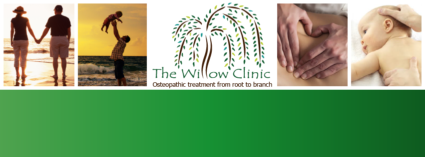 The Willow Clinic - Osteopath | health | 37 Kentwell Rd, Allambie Heights NSW 2100, Australia | 0290300352 OR +61 2 9030 0352