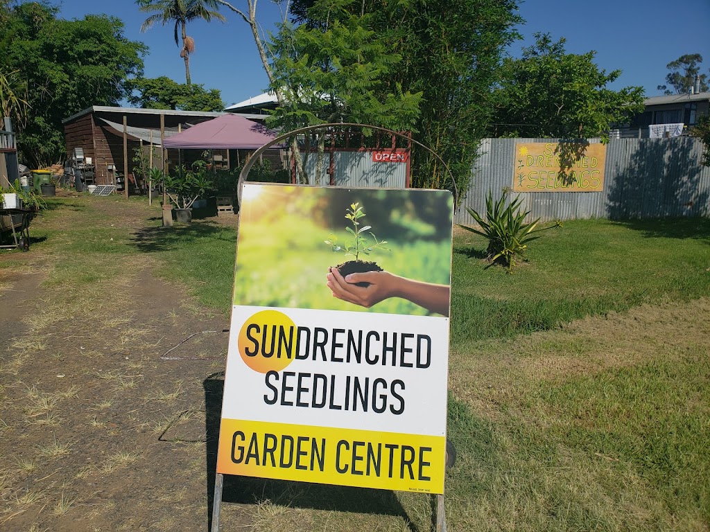 Sundrenched Seedlings Garden Centre | 88/90 Queen Elizabeth Dr, Coraki NSW 2471, Australia | Phone: 0401 367 323
