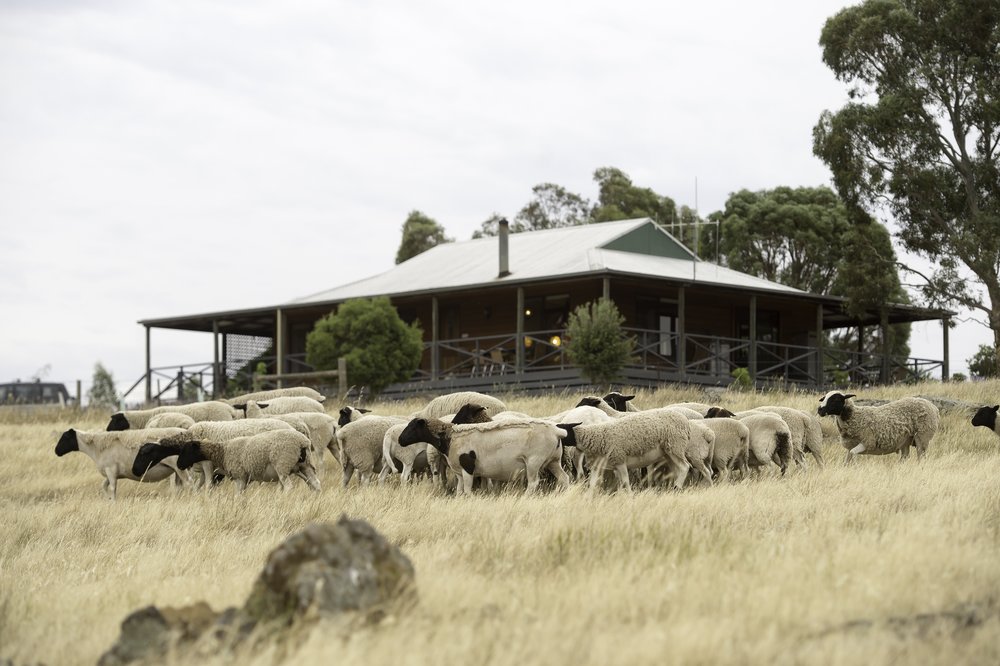 Axedale Farm Cottage & Vineyard | lodging | 310 Canny Rd, Axedale VIC 3551, Australia | 0409805951 OR +61 409 805 951