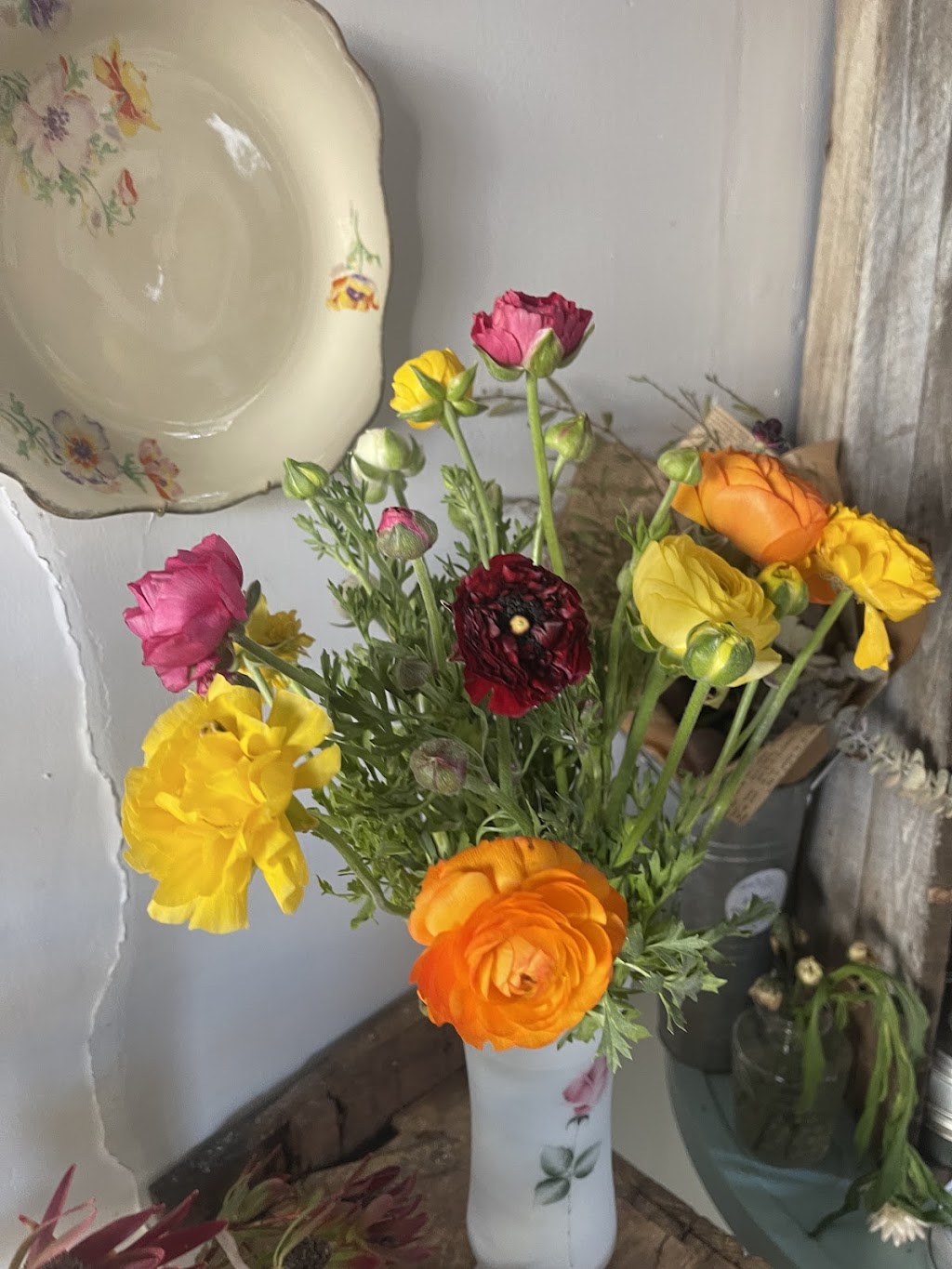 Edellen Flowers | 49 Gaskill St, Canowindra NSW 2804, Australia | Phone: 0419 847 461