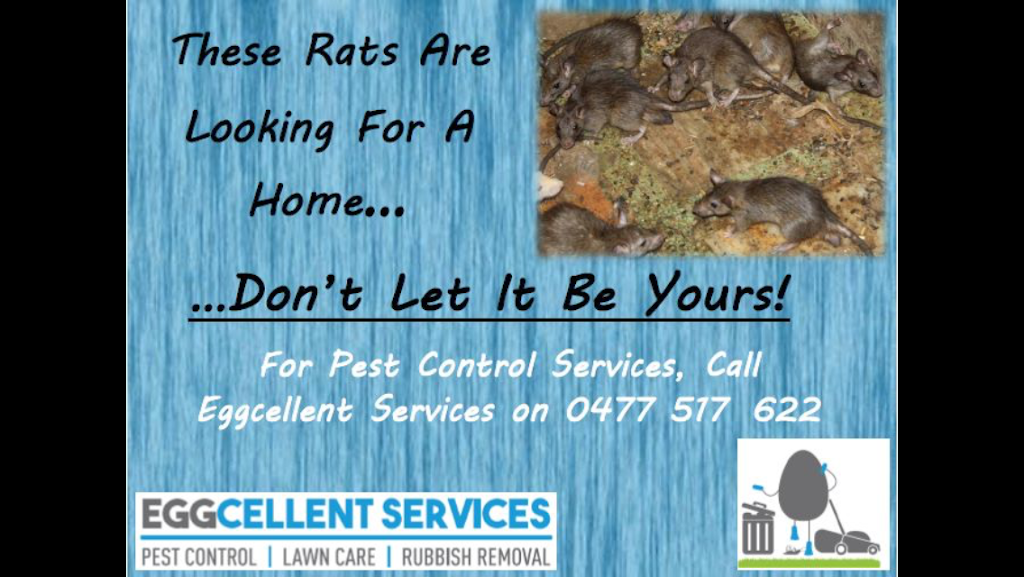 Eggcellent Services- Pest Control | home goods store | 82 Shepherd St, Colyton NSW 2760, Australia | 0477517622 OR +61 477 517 622