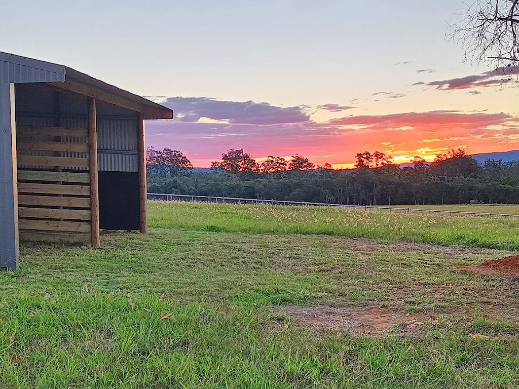 Mountain View Equestrian Centre | 475 Raaen Rd, Bracalba QLD 4512, Australia | Phone: 0468 585 529
