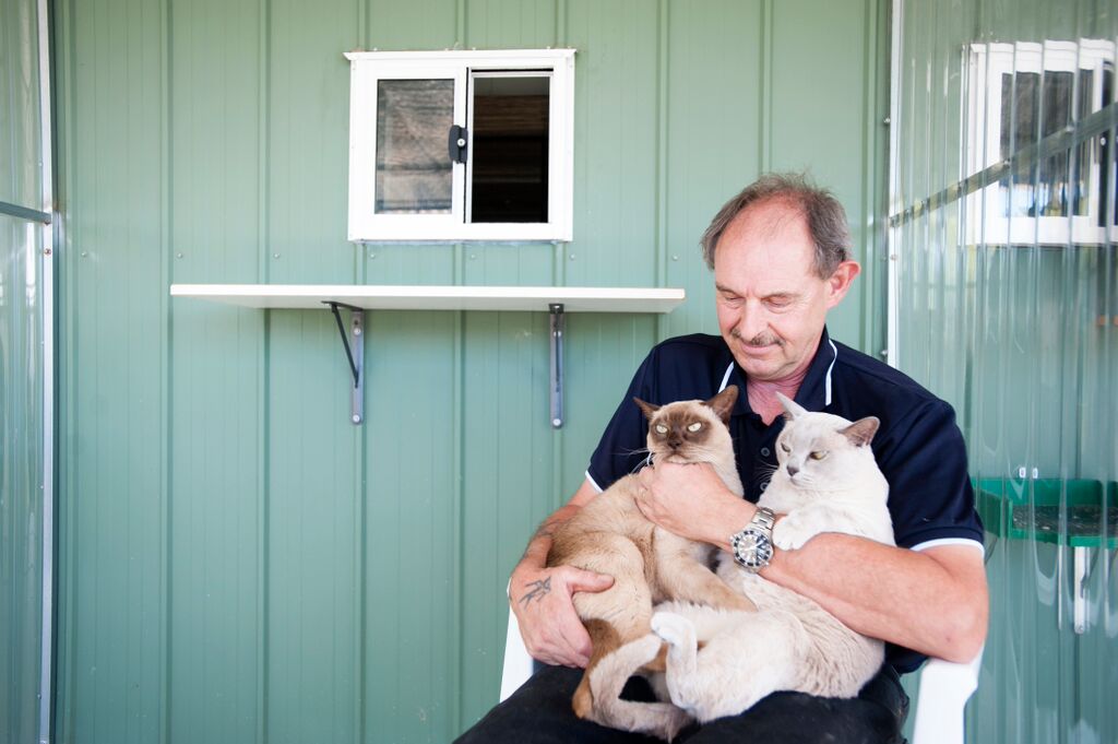 Lara Cattery PTY Ltd. | veterinary care | 90 Coonawarra Dr, Avalon VIC 3212, Australia | 0352825555 OR +61 3 5282 5555