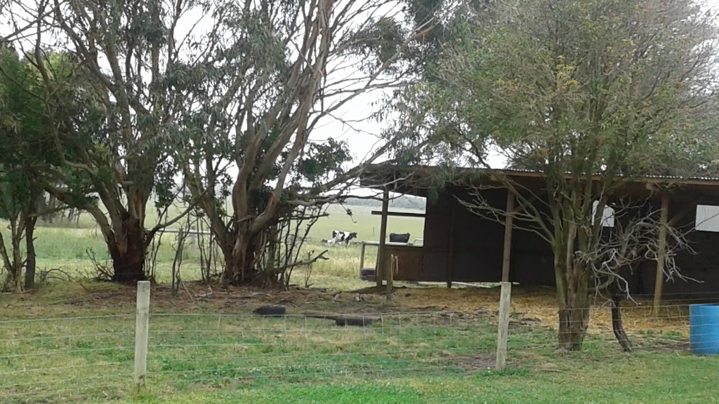 Sea Glimpse Farmstay | lodging | 393 Curdievale-Port Campbell Rd, Port Campbell VIC 3269, Australia