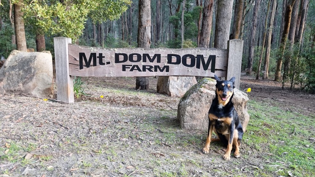 Mt. Dom Dom Farm Fresh Produce | 90 Dom Dom Rd, Narbethong VIC 3778, Australia | Phone: 0409 998 848