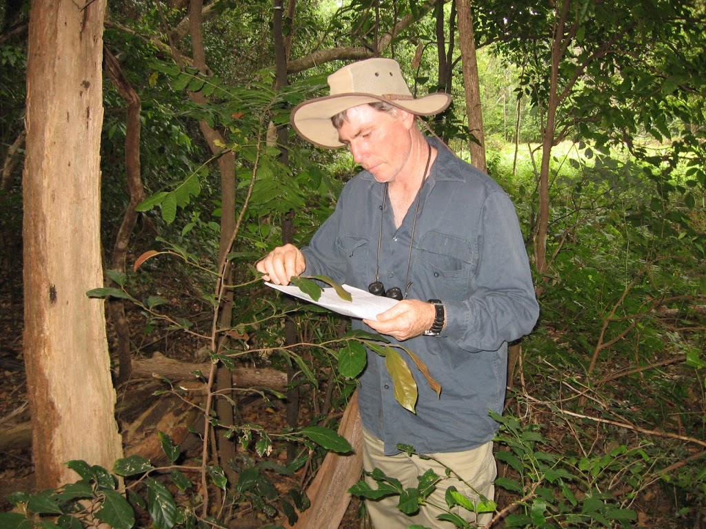 Arbor Ecological | 334 Pearces Creek Rd, Alstonville NSW 2477, Australia | Phone: (02) 6628 0365