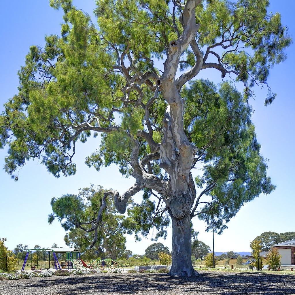 Berry Lane Mernda by Central Equity | Riverdale Blvd, Mernda VIC 3754, Australia | Phone: 1800 637 632