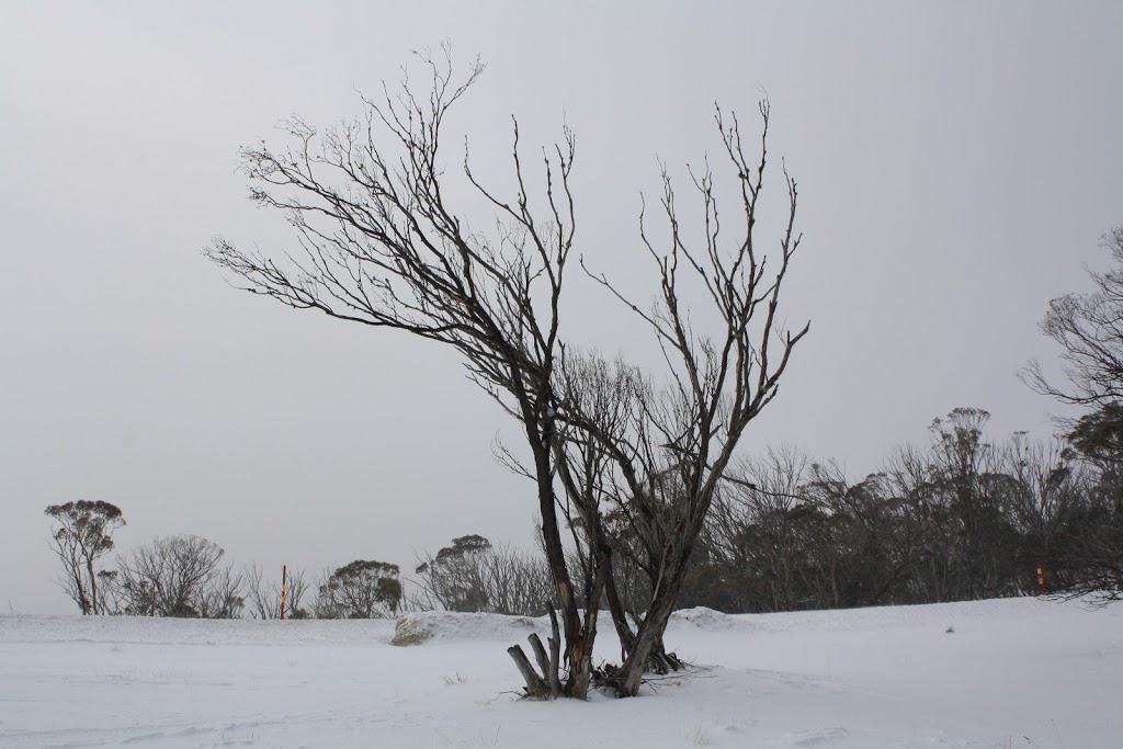 Wire Plain Car Park | Great Alpine Rd, Hotham Heights VIC 3741, Australia