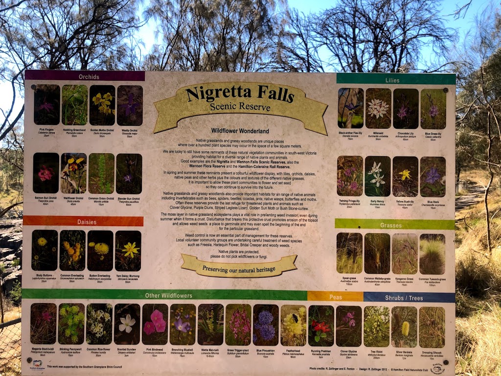 Nigretta Falls | tourist attraction | Nigretta Falls Access Rd, Hamilton VIC 3300, Australia | 1800807056 OR +61 1800 807 056