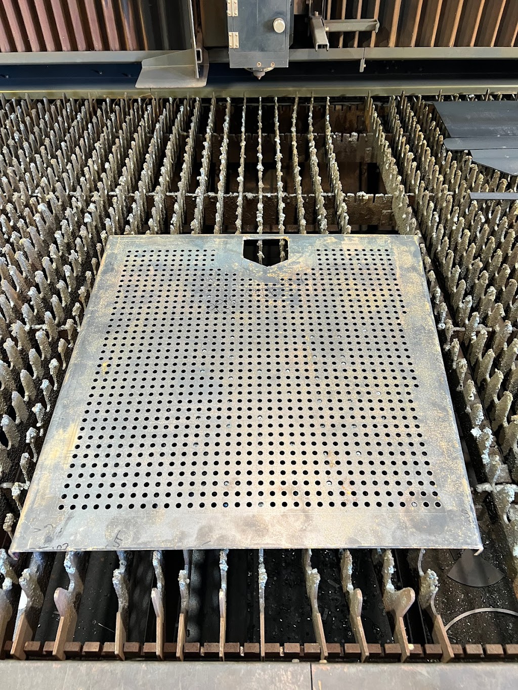 Taree Laser | 18 Flametree Cl, Taree NSW 2430, Australia | Phone: 0413 851 879