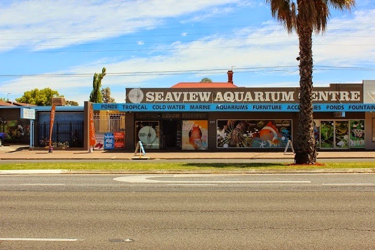 Seaview Aquarium Centre | pet store | 237 Anzac Hwy, Plympton SA 5038, Australia | 0883710380 OR +61 8 8371 0380