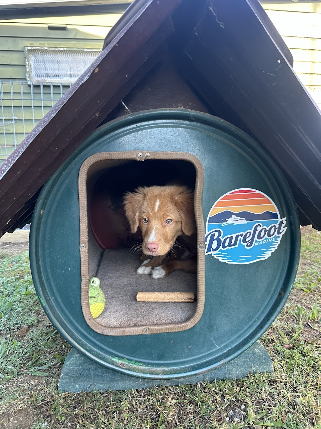 Barefoot Marine | 2 Main St, Eildon VIC 3713, Australia | Phone: 0407 076 830