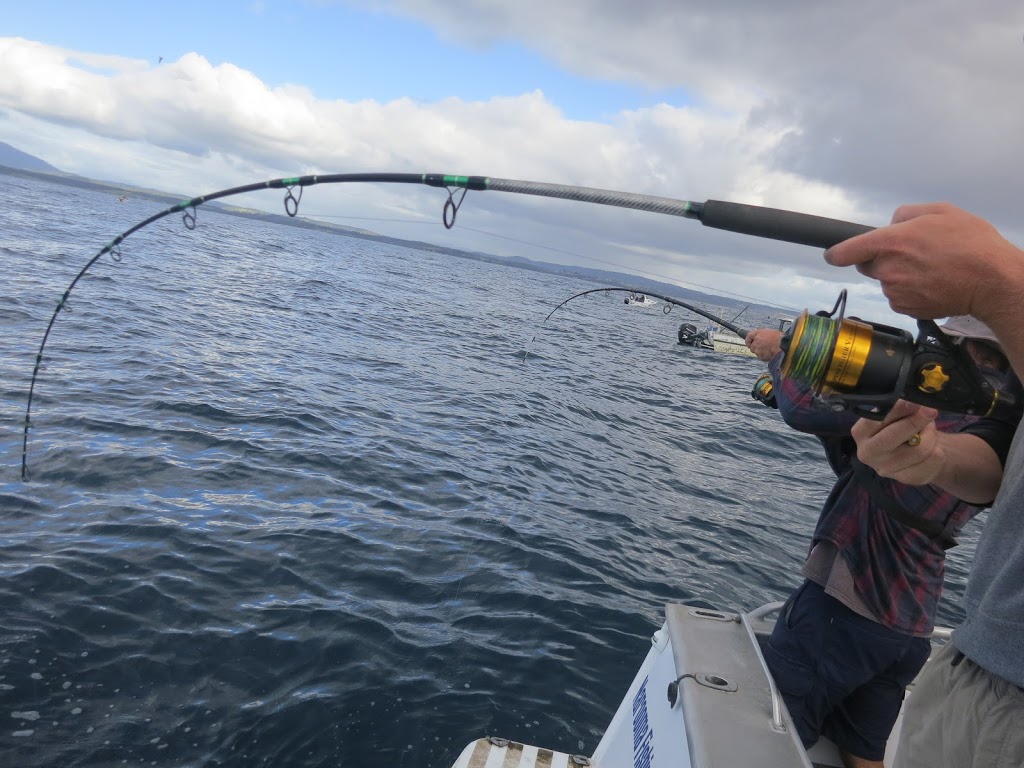 Narooma Fishing Charters | Apex Park, Centenary Dr, Narooma NSW 2546, Australia | Phone: 0432 599 619