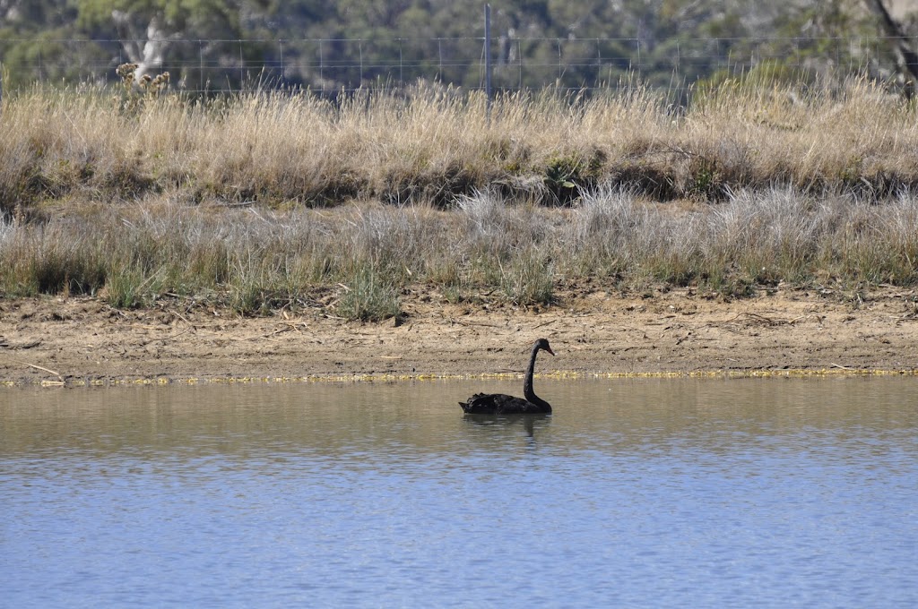 Still Waters Retreat | 69 Grills Ln, Dunnstown VIC 3352, Australia | Phone: 0412 690 891