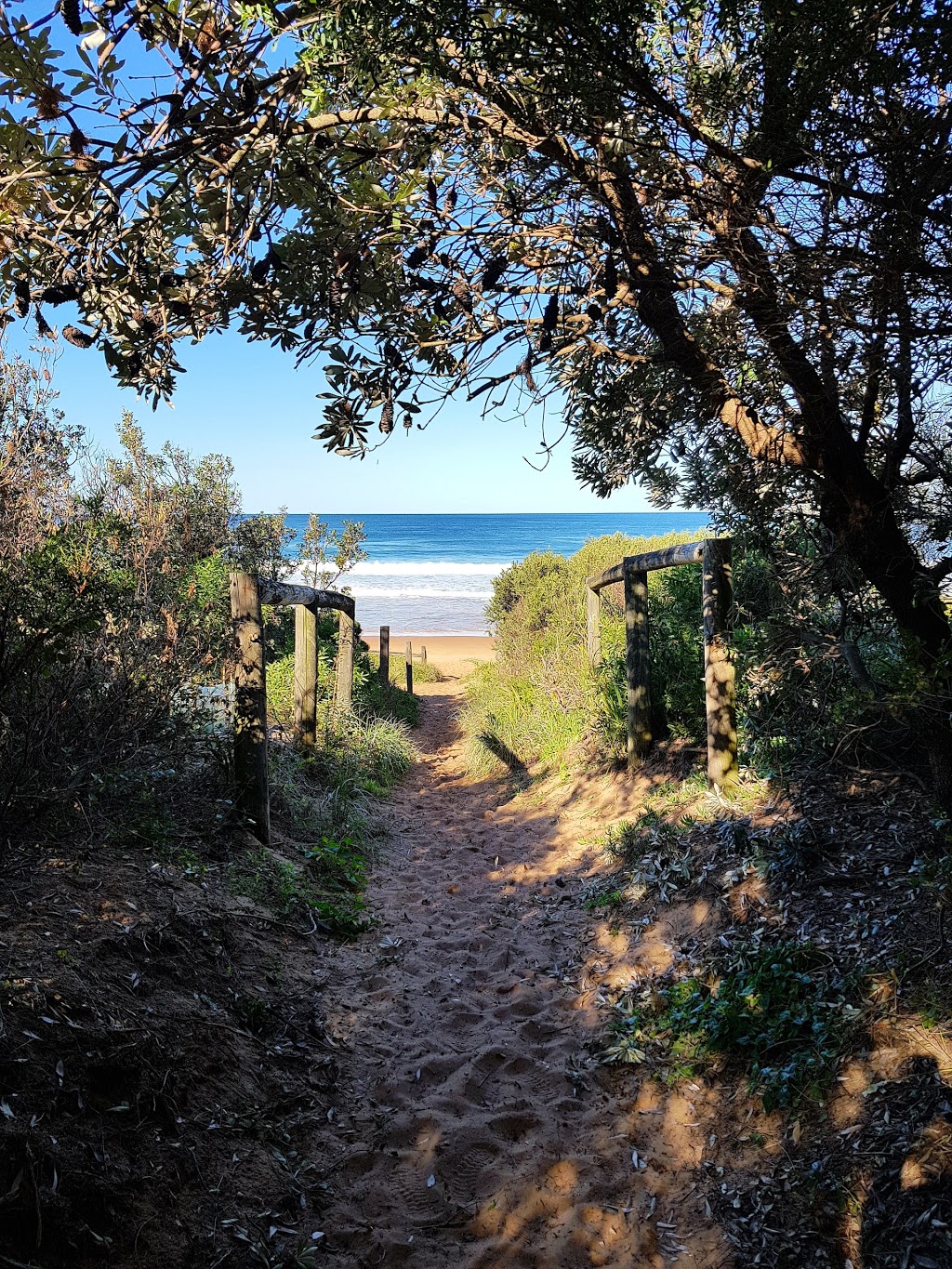 Bungan Beach | Newport NSW 2106, Australia