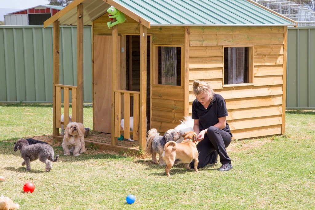 The Pet Ranch | veterinary care | 154 Woncor Avenue, South Nowra NSW 2540, Australia | 0412429625 OR +61 412 429 625