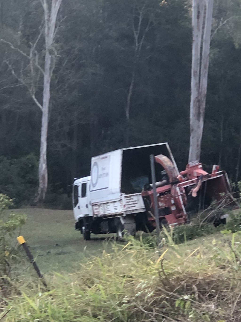 East Coast Tree & Land Care | 2 Blakeney St, Woody Point QLD 4019, Australia | Phone: 0455 372 009