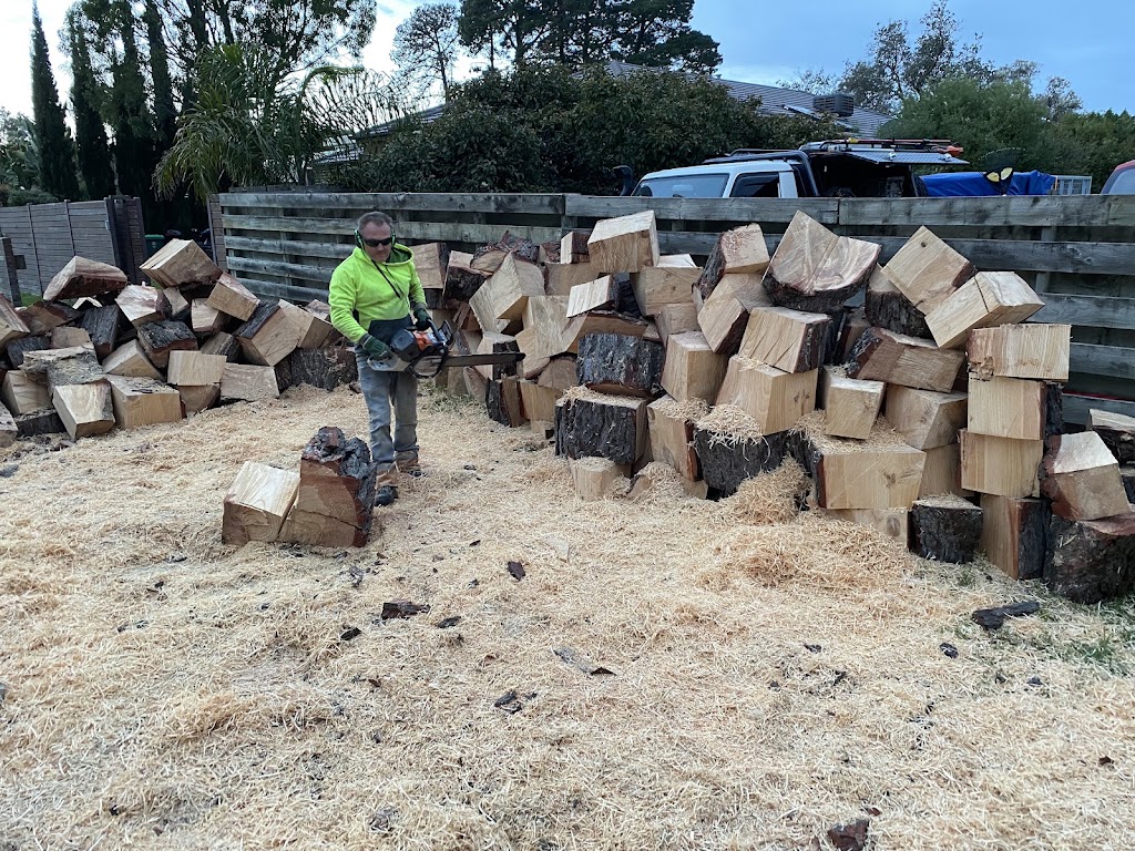 Victorian Tree Specialists | 281 Blackburn Rd, Blackburn South VIC 3130, Australia | Phone: 1300 604 510