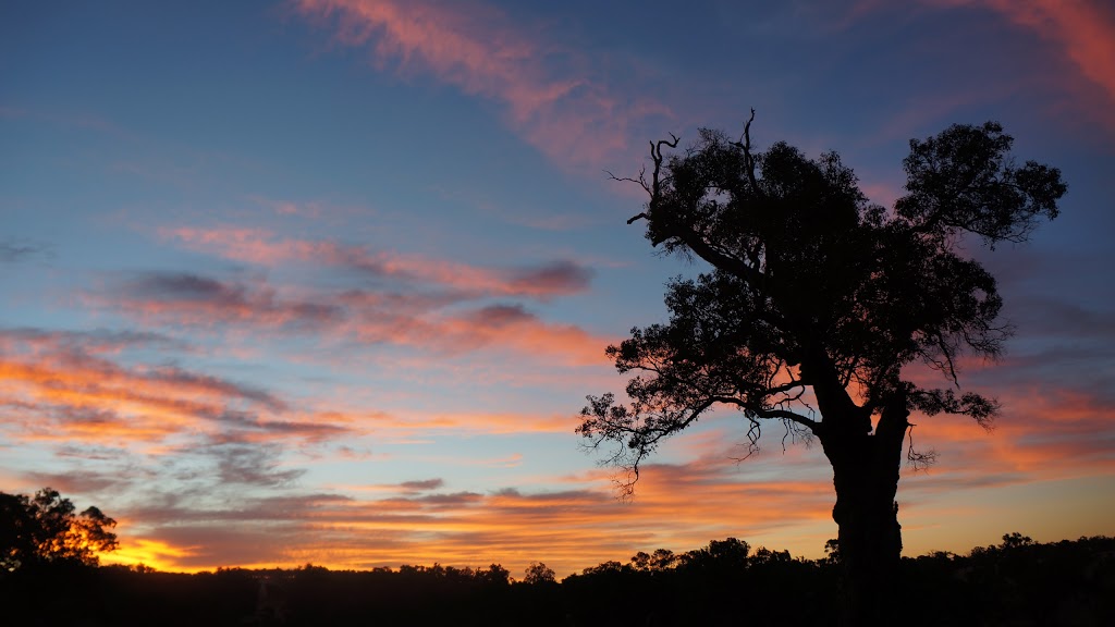 Frankland River Retreat | lodging | 786 Frankland-Kojonup Rd, Frankland River WA 6396, Australia | 0430450093 OR +61 430 450 093