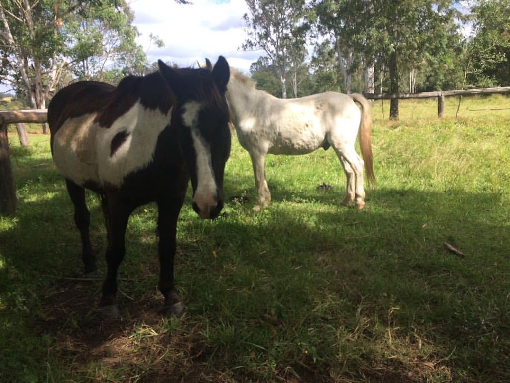 Gympie and District RDA | 580 Mary Valley Rd, Long Flat QLD 4570, Australia | Phone: 0407 161 246