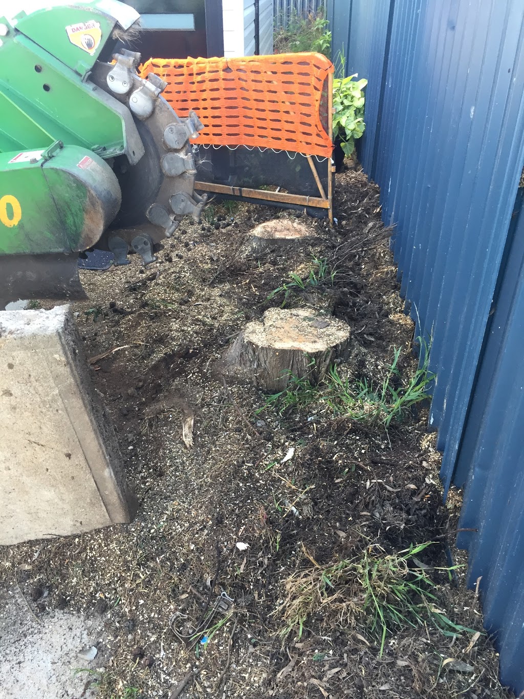 Stump Removal Sydney - Stump Grinding | 13 Antares Pl, Cranebrook NSW 2749, Australia | Phone: 0402 887 920