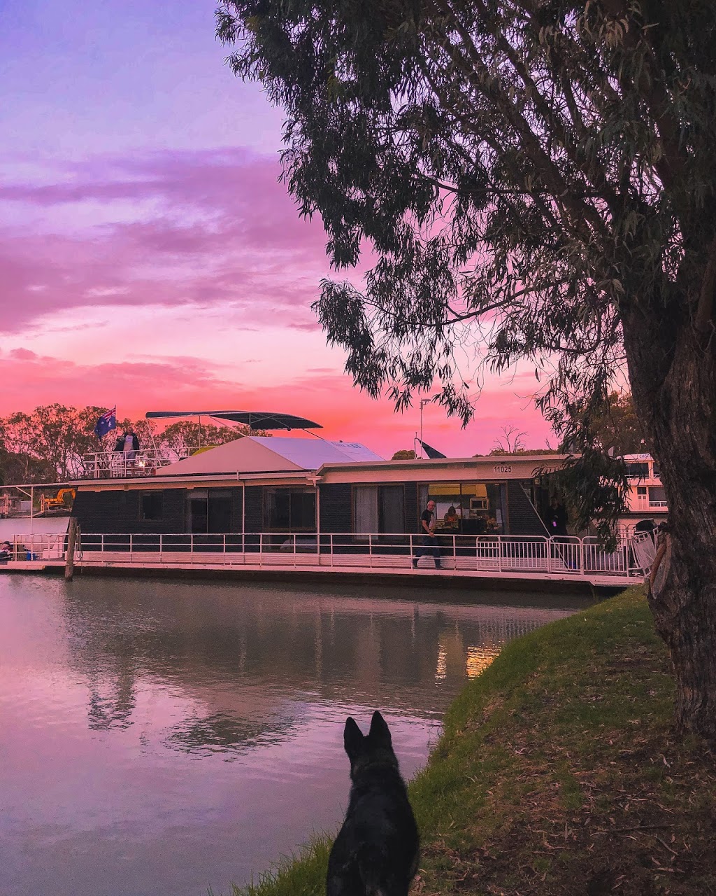 Galaxy Houseboat | Lot 60/100 Roper Rd, Murray Bridge SA 5253, Australia | Phone: 0409 821 290