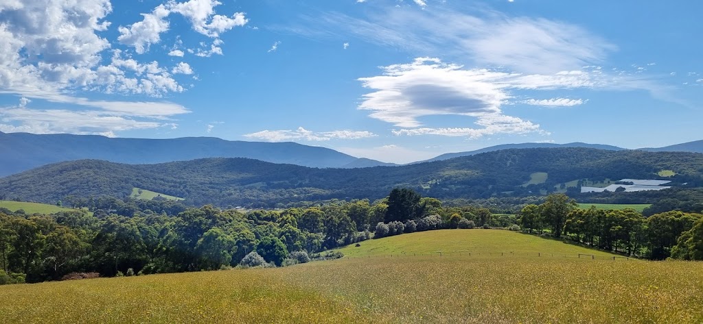 Hoddles Creek Garlic | 485 Lusatia Park Rd, Hoddles Creek VIC 3139, Australia | Phone: 0428 547 161
