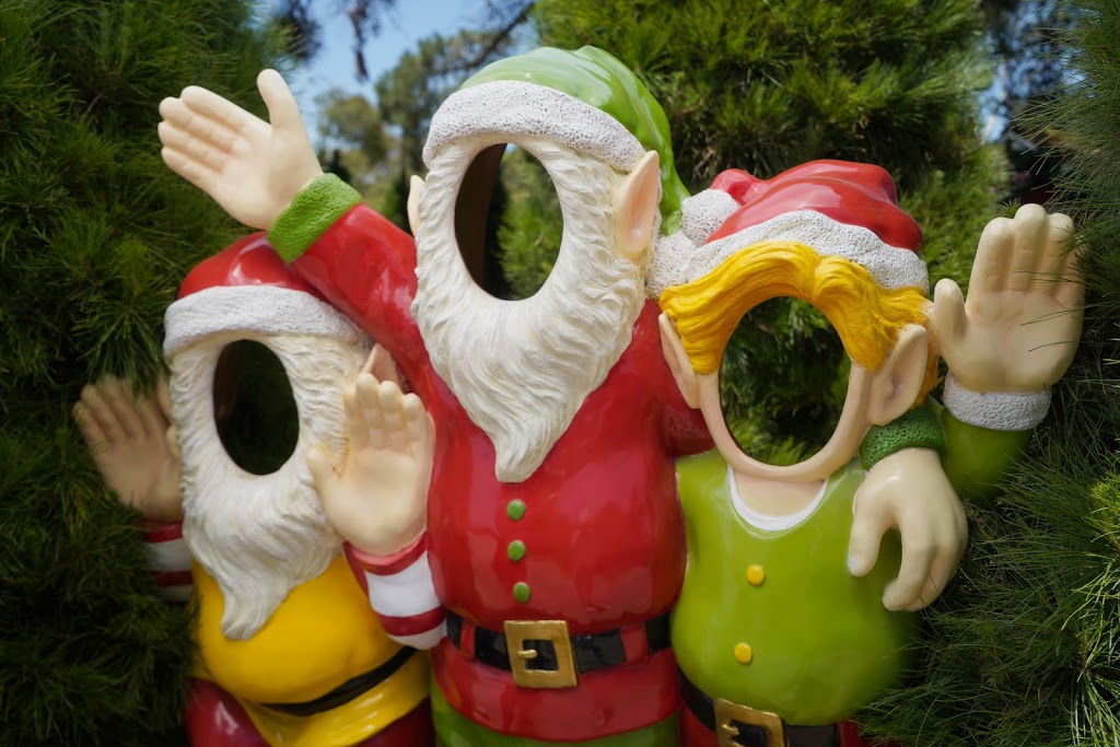 Christmas Tree Farm Chandlers Hill | 51 Sugarloaf Rd, Chandlers Hill SA 5159, Australia | Phone: (08) 8383 6482