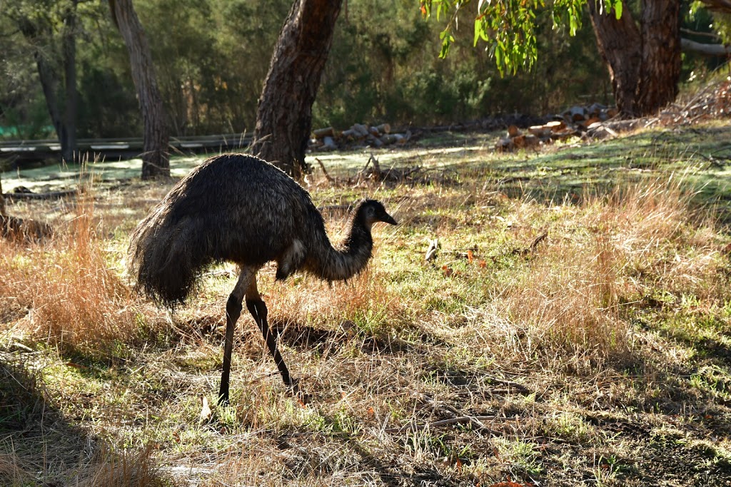 Briars Wildlife Sanctuary | park | Wetland Walk, Mount Martha VIC 3934, Australia