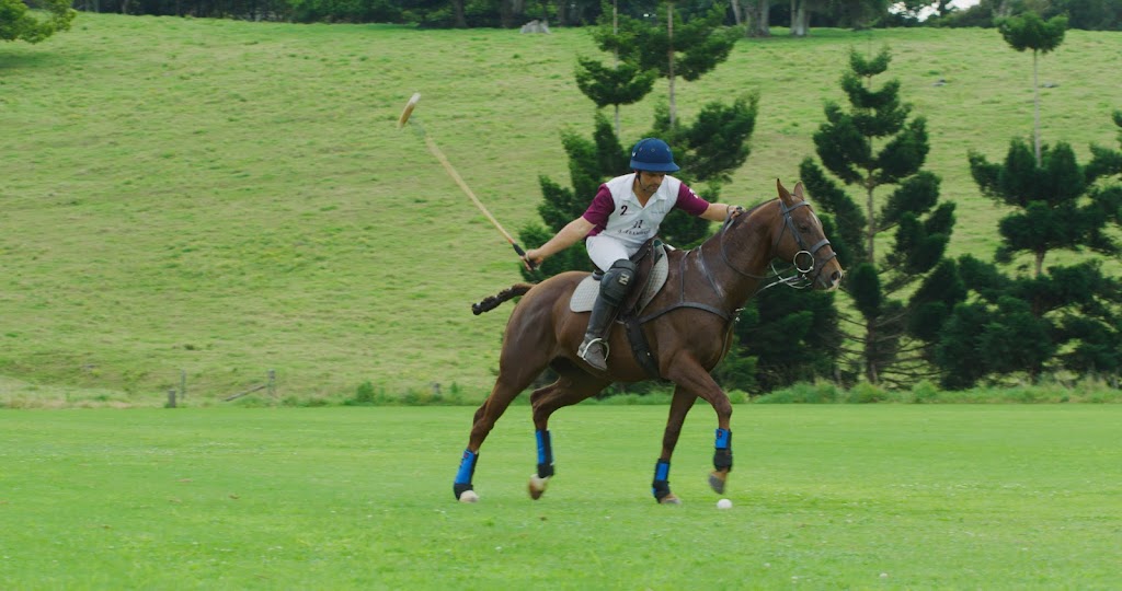 Hazelwood Polo Club | 422 Binna Burra Rd, Beechmont QLD 4211, Australia | Phone: (07) 5602 9710