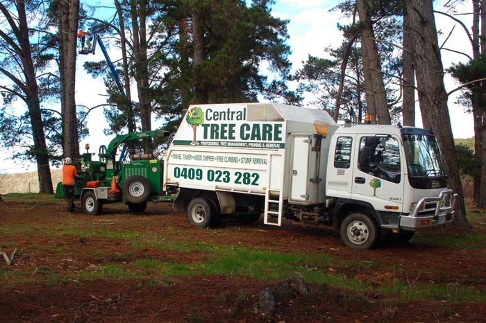 Central Tree Care | 18 Palmer St, Romsey VIC 3434, Australia | Phone: 0409 023 282