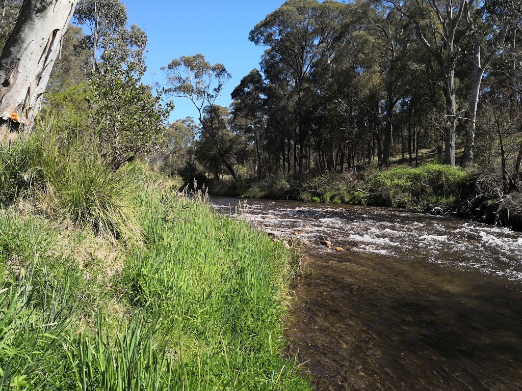 Walnuts Campground | campground | 6961 Omeo Hwy, Mitta Mitta VIC 3701, Australia