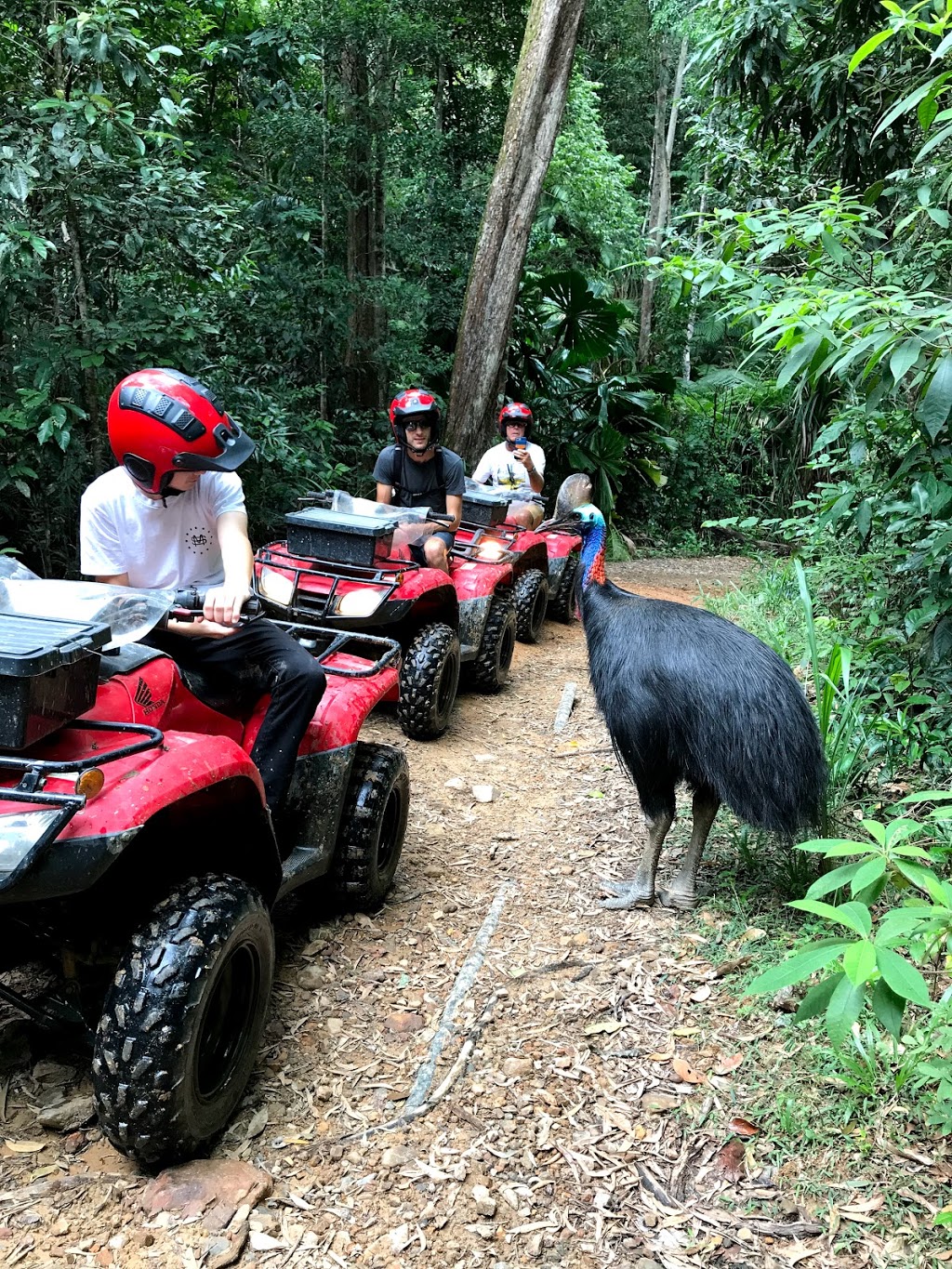 Kuranda Rainforest Journeys ATV & Quad bike tours | travel agency | 1015 Kennedy Hwy, Kuranda QLD 4881, Australia | 0402318630 OR +61 402 318 630