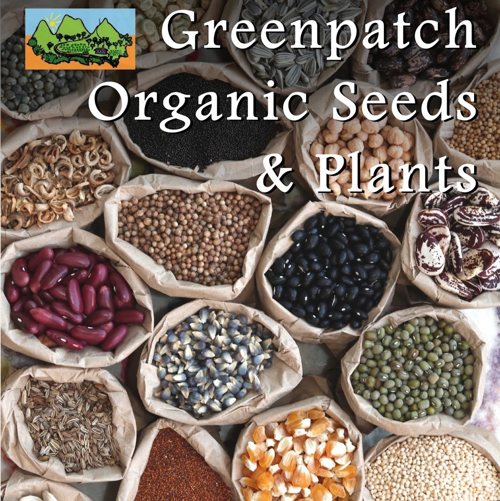 Greenpatch Organic Seeds & Plants | store | 109 Old Bar Rd, Glenthorne NSW 2430, Australia | 0265514240 OR +61 2 6551 4240