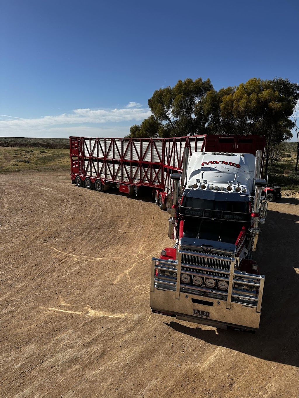 Paynes Livestock Transport | 50 Hall Rd, Pakenham South VIC 3810, Australia | Phone: 0408 344 194