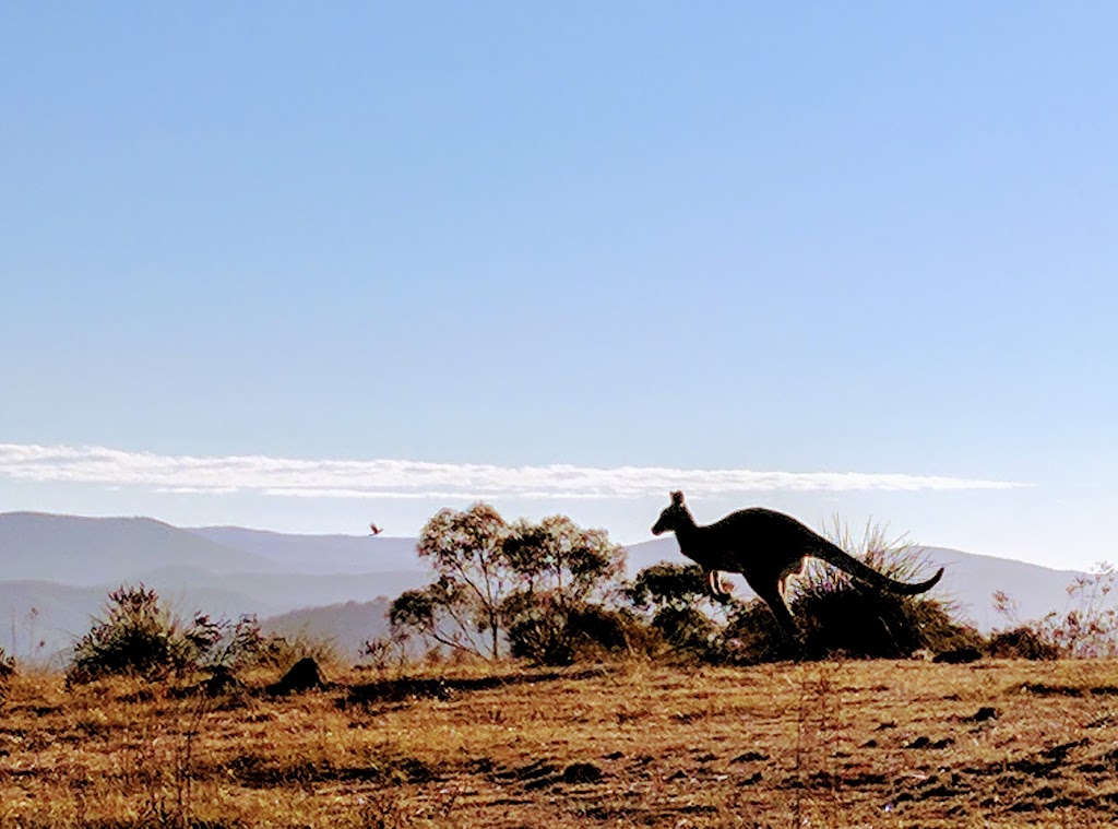 Farrer Ridge Nature Reserve | park | Australian Capital Territory, Australia | 132281 OR +61 132281