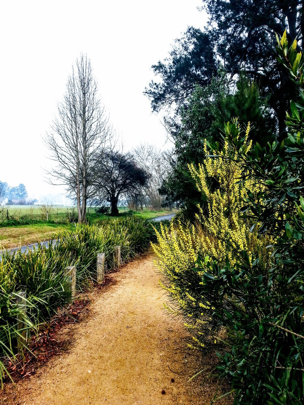 Bega parkrun | East St & Bridge St, Bega NSW 2550, Australia