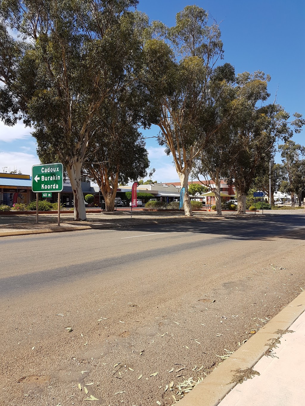 Wongan Hills Caravan Park | 65 Wongan Rd, Wongan Hills WA 6603, Australia | Phone: 0427 000 328