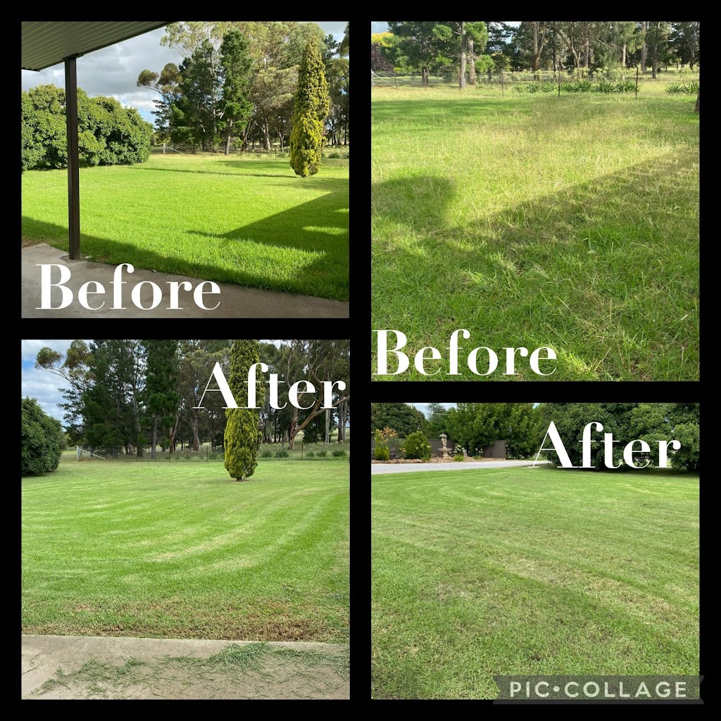 East Gippsland lawncare and maintenance | 13 Churchill St, Bairnsdale VIC 3875, Australia | Phone: 0402 635 383